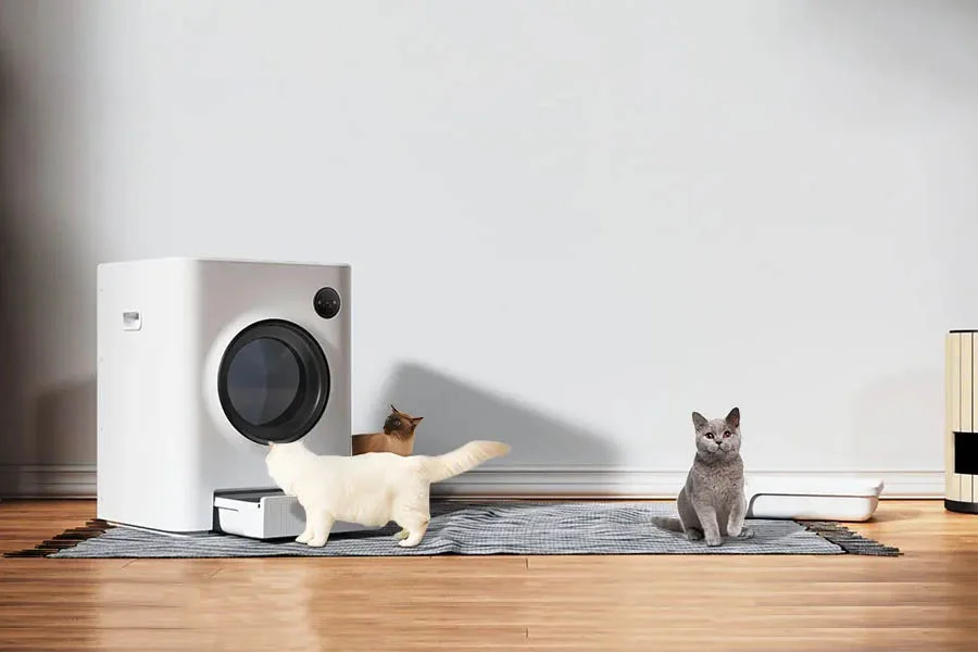 best multi cat litter box